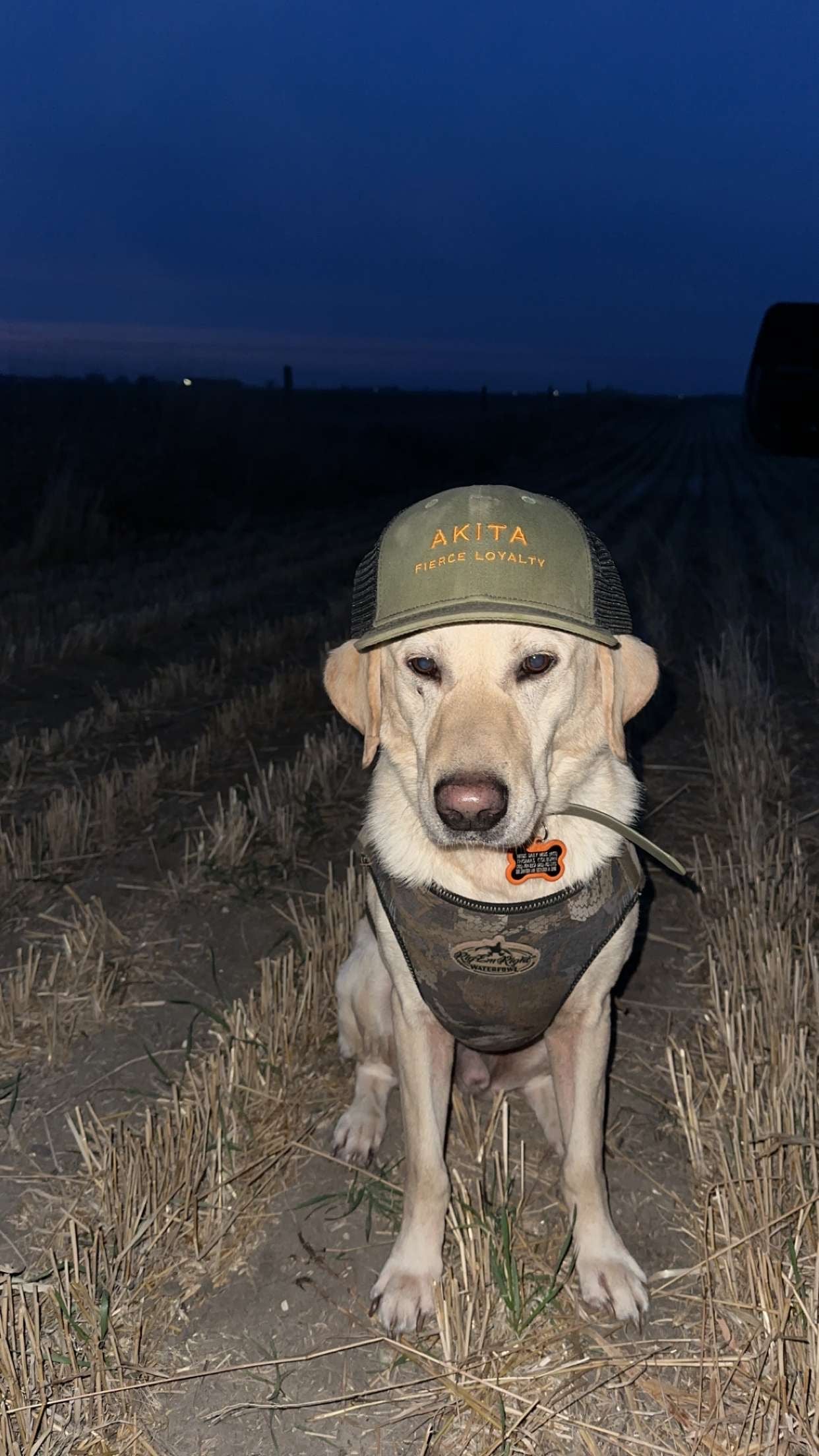 Akita Fierce Loyalty Hat - Moss Green and Orange